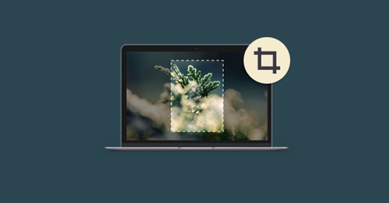 How To Crop A Picture On Mac? 6 Easy Ways