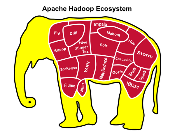 The Hadoop Ecosystem